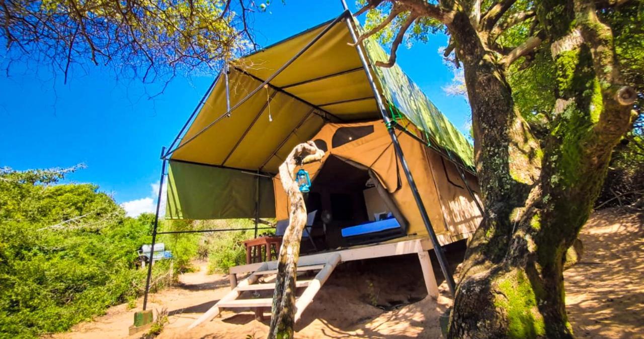 Back Of Beyond Dune Camp Yala Kültér fotó