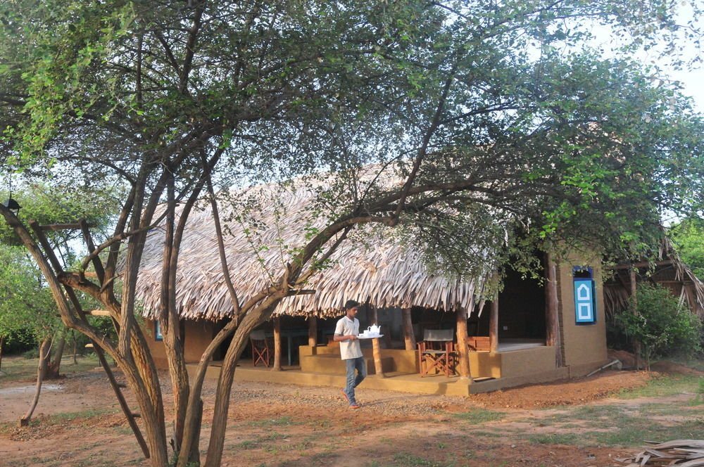 Back Of Beyond Dune Camp Yala Kültér fotó