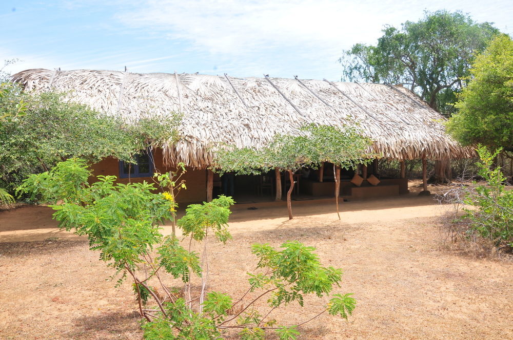 Back Of Beyond Dune Camp Yala Kültér fotó